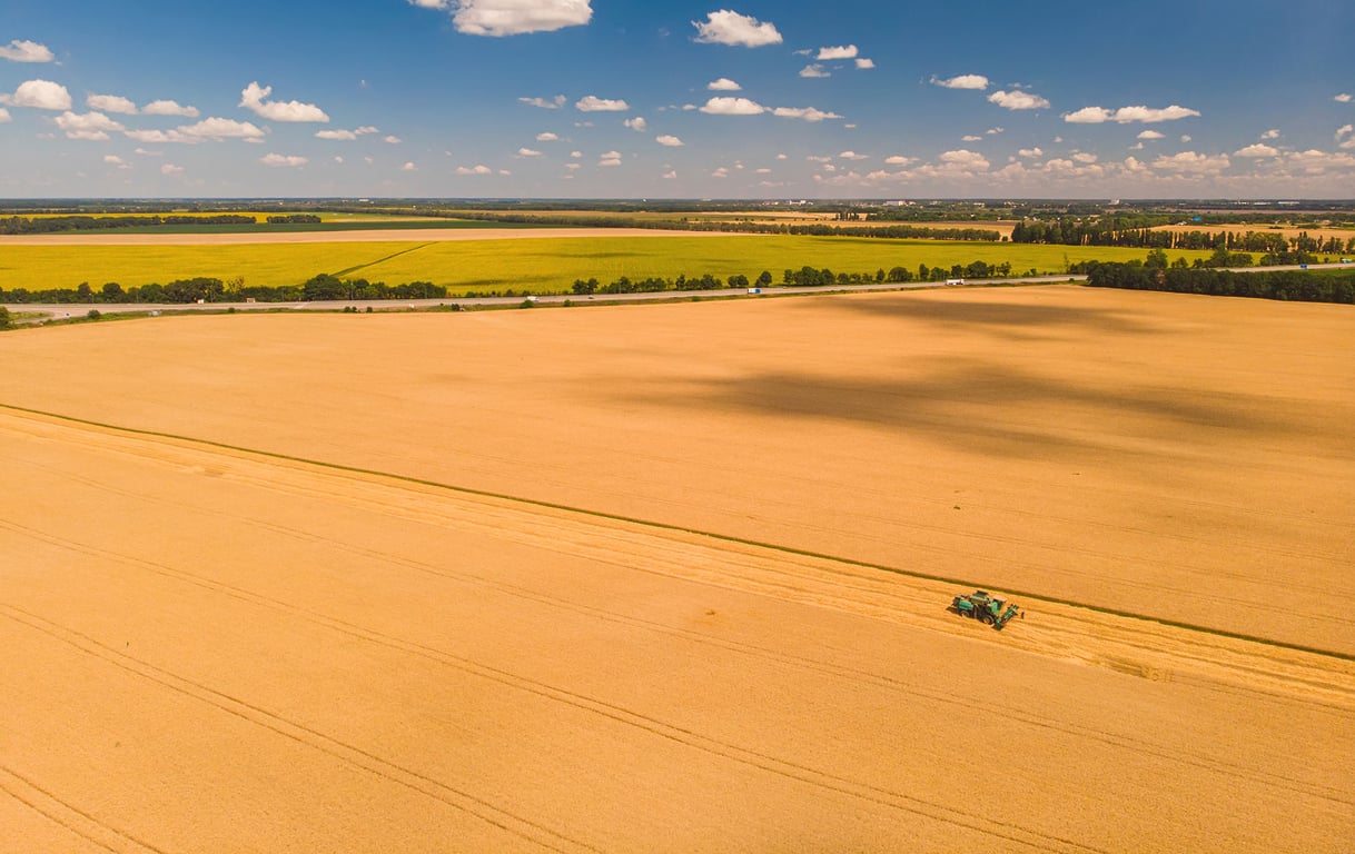 Campos de soja no Cerrado do Oeste da Bahia, região Matopiba