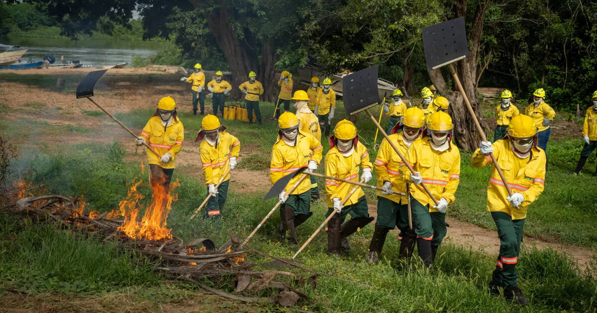 Brigadistas em treinamento no bioma do Cerrado