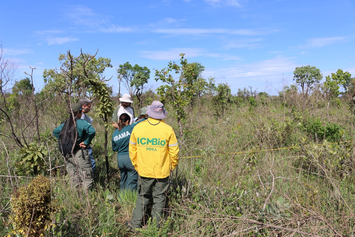 Brigadistas e agentes do ICMBio em atividade de monitoramento no Cerrado, com uniformes e equipamentos