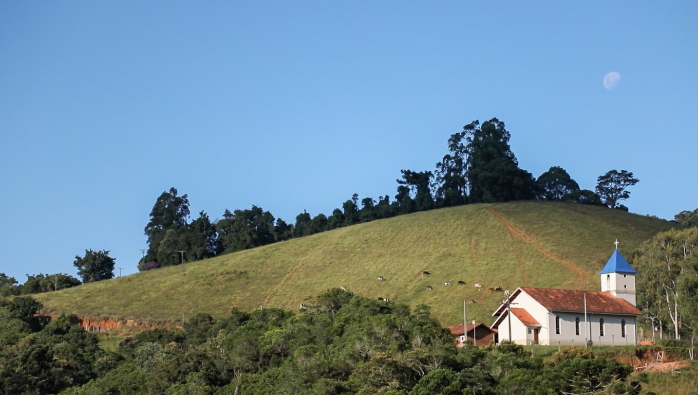 Paisagem rural dos Campos Gerais do Paraná com araucárias ao entardecer
