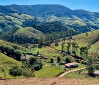 Estrada rural no noroeste do estado de São Paulo, com campos agrícolas e céu azul em dia ensolarado.