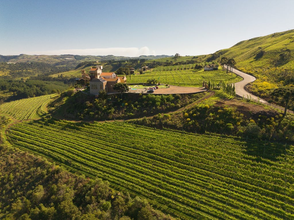 Paisagem de São Joaquim SC na Serra Catarinense, com vinhedos e arquitetura local.