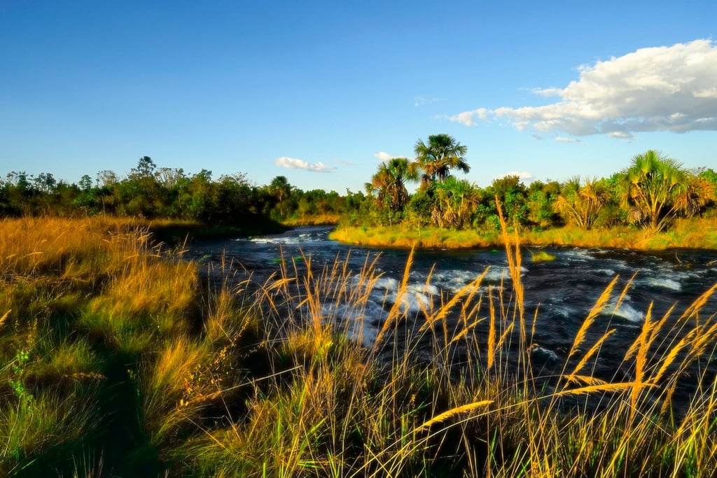 Paisagem na região do Parque Nacional das Emas, no sudoeste de Goiás