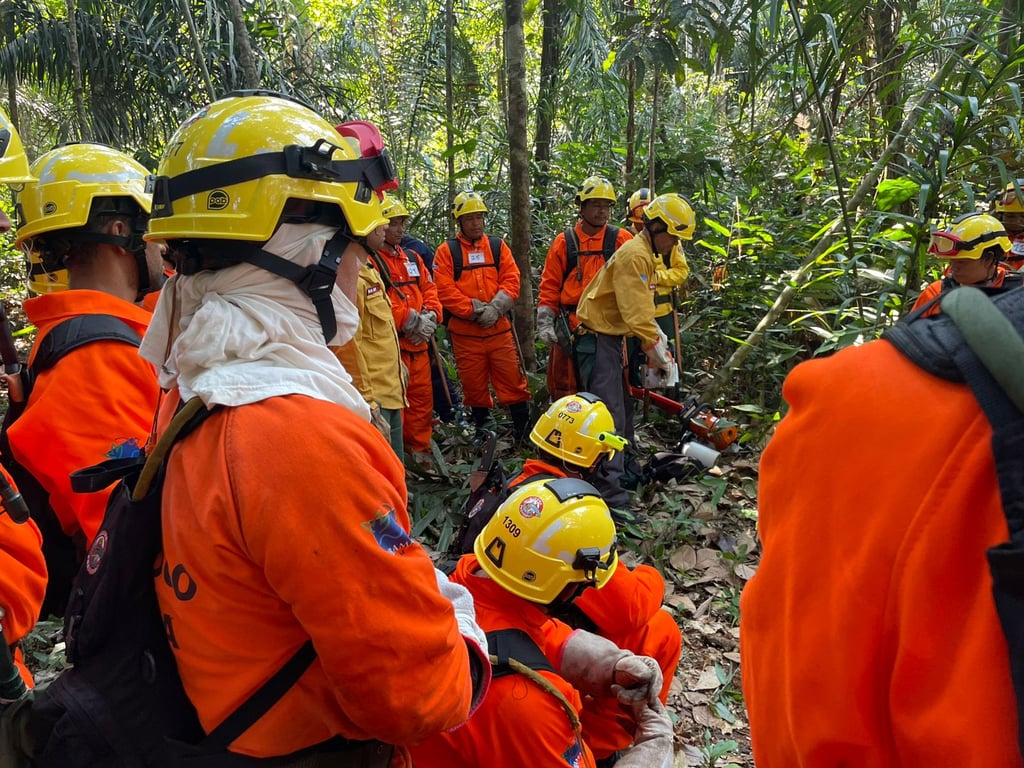 Treinamento de brigadistas florestais na Amazônia
