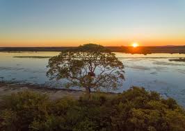 Paisagem rural no noroeste gaúcho