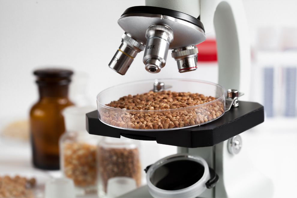 Foto de laboratório de controle de qualidade de alimentos, com microscópio e amostras em bancada.