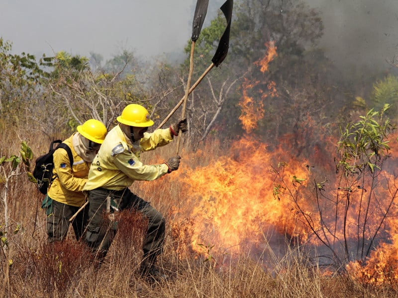 Brigadistas combatendo incêndio florestal