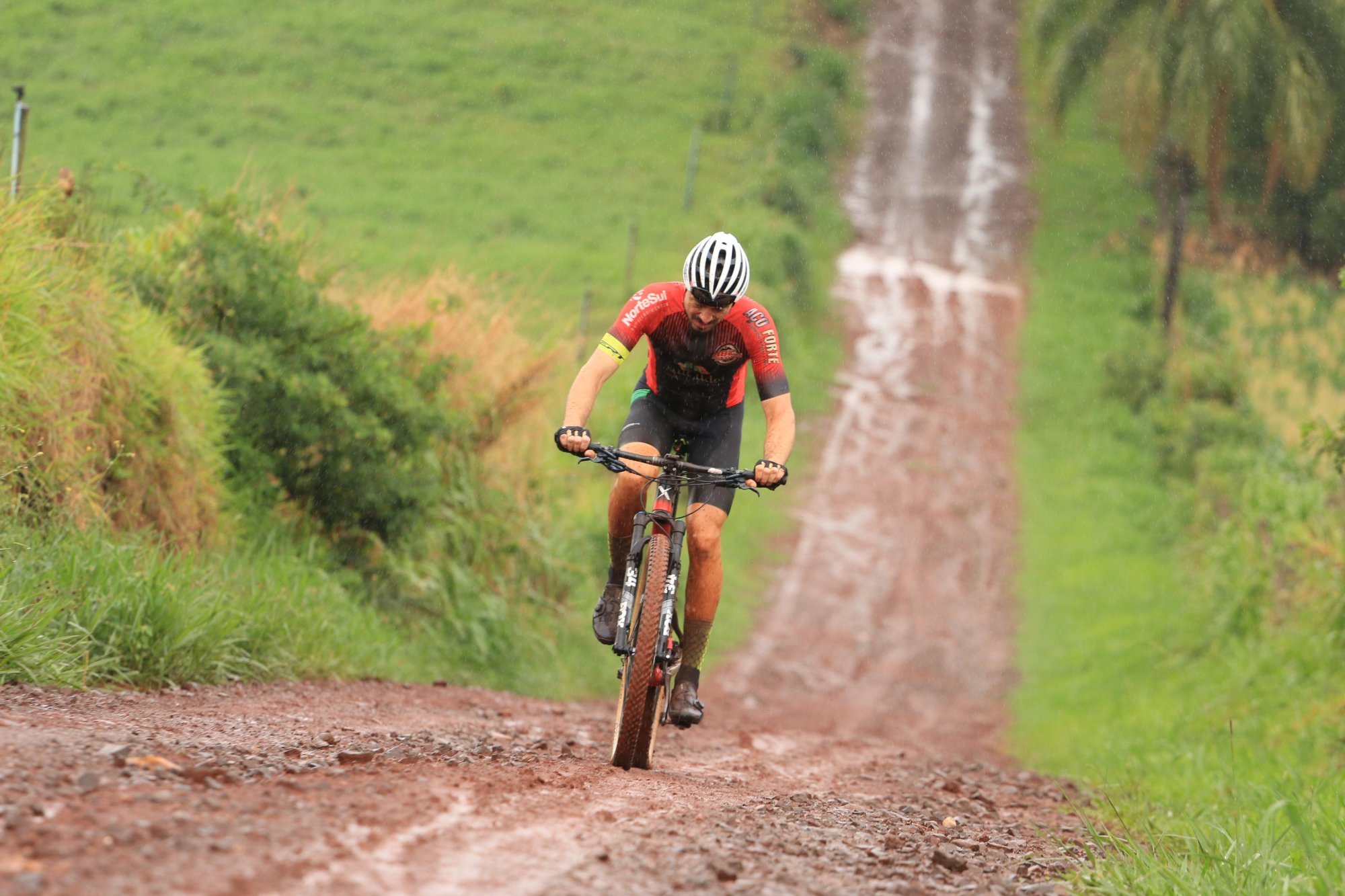 Cena rural em Dois Vizinhos PR, com ciclista em estrada de terra e vegetação ao redor