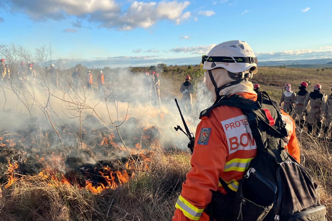 Brigadistas em ação no combate a incêndios florestais