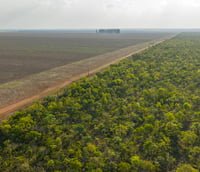 Imagem aérea de lavoura no Cerrado sul-mato-grossense. Créditos: Amazônia Latitude.