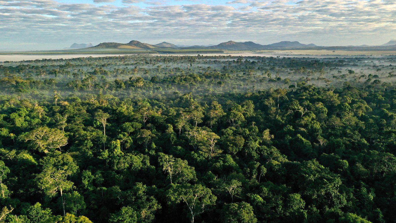 Mata Atlântica no extremo sul da Bahia