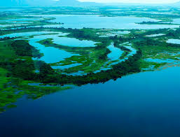Vista aérea do arquipélago do Marajó, com rios sinuosos e florestas alagadas ao pôr do sol