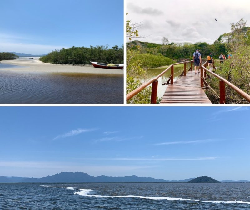 Vale do Ribeira, Mata Atlântica em São Paulo