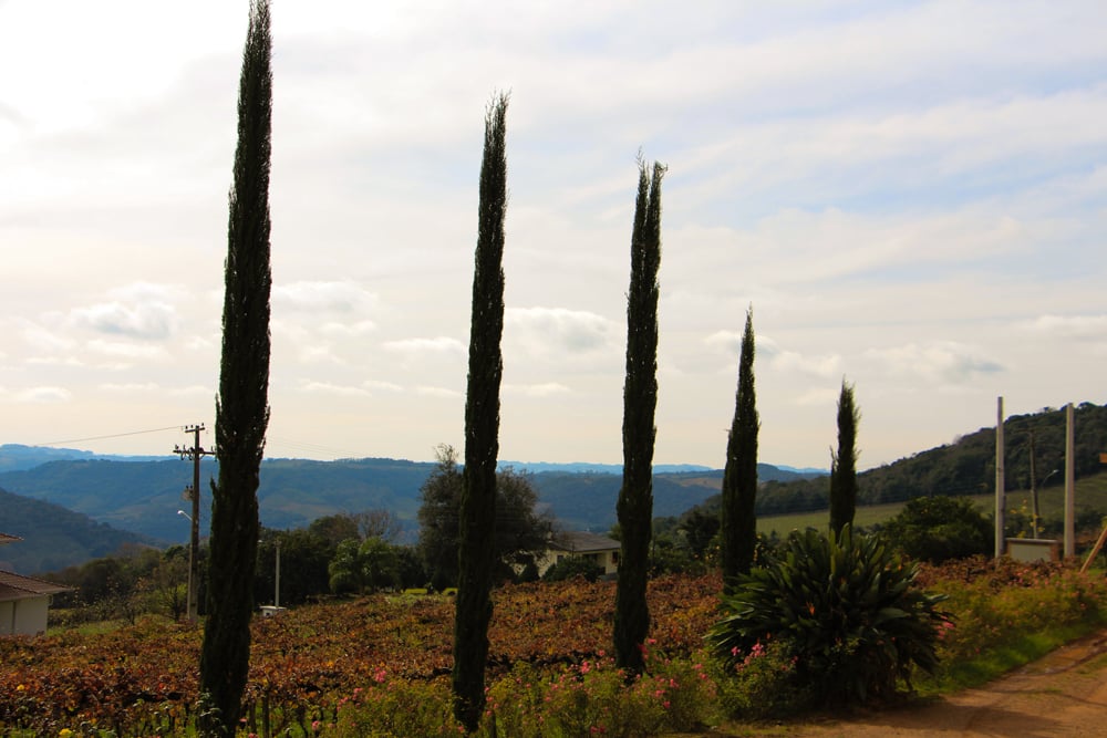 Paisagem rural no norte do Rio Grande do Sul ao entardecer