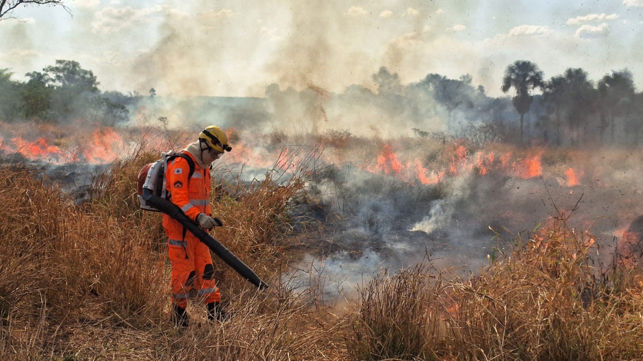 Brigadistas em ação no combate a incêndios