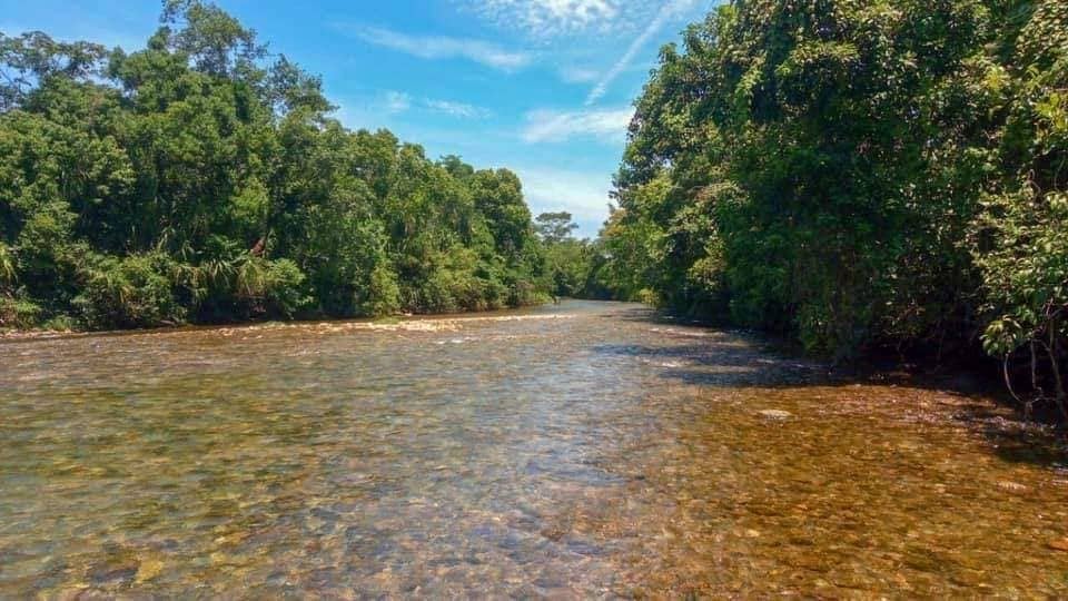 Rio margeado por vegetação nativa no Vale do Ribeira