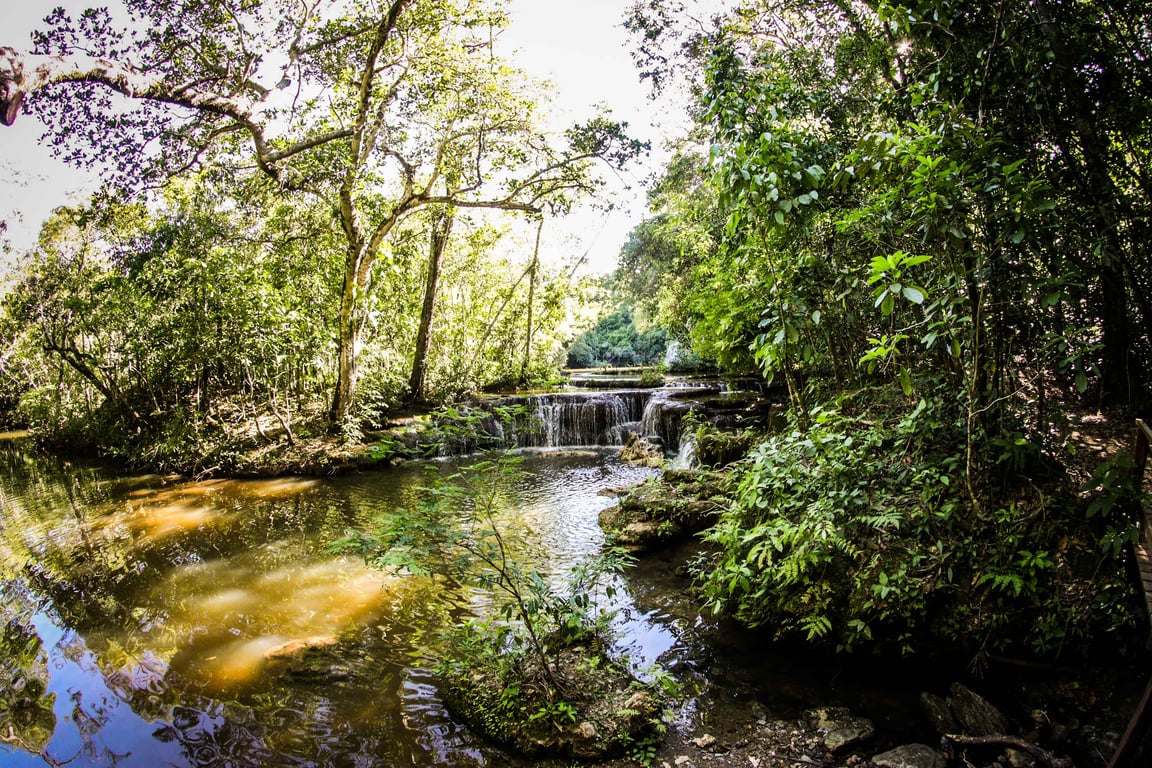 Paisagem natural em região do norte do Espírito Santo, remetendo ao ambiente de Água Doce do Norte
