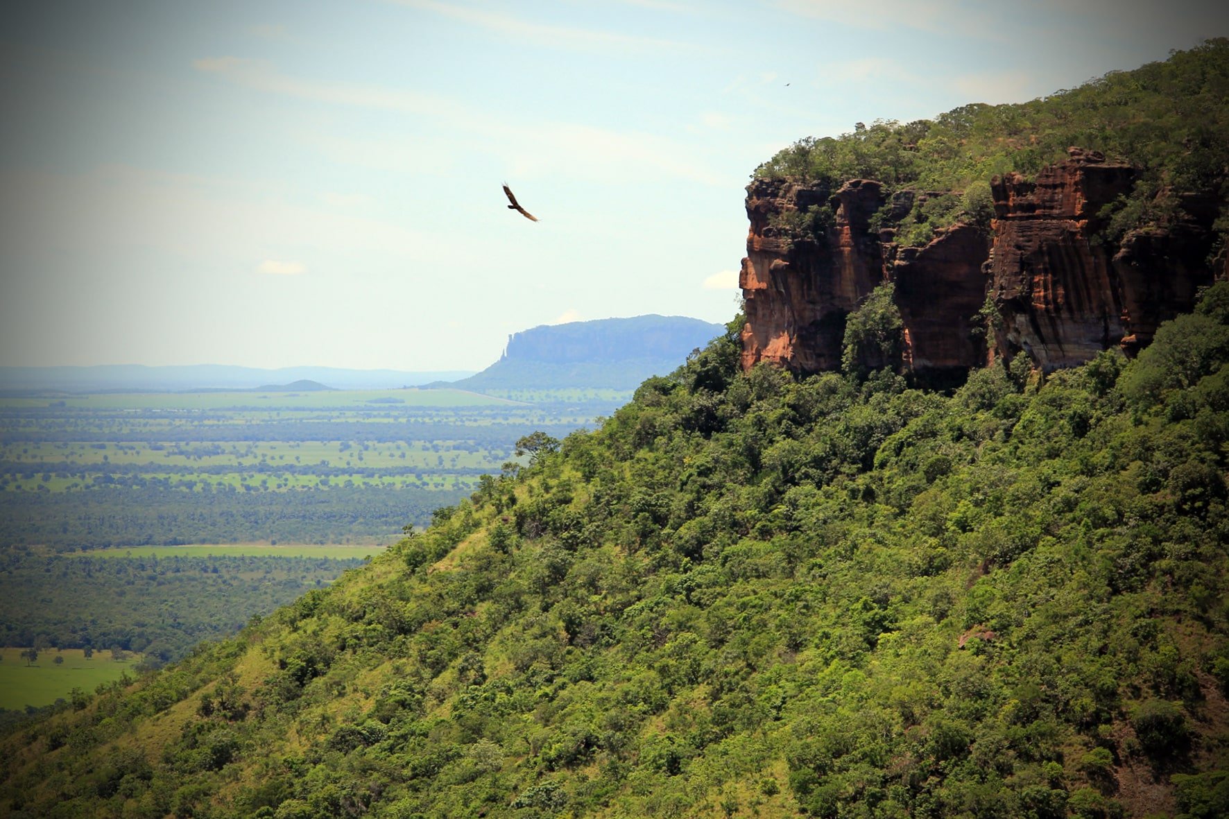 Paisagem da Serra do Roncador, referência regional próxima a Nova Xavantina MT