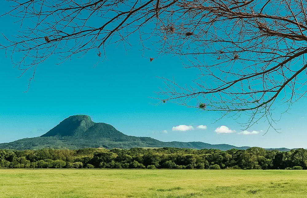 Paisagem rural no interior de Santa Cruz do Sul, com colinas verdes e estrada