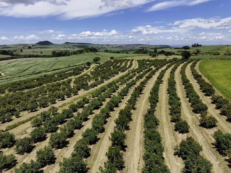 Paisagem agrícola do Oeste do Paraná — agro é motor da economia regional e influencia demanda por serviços públicos