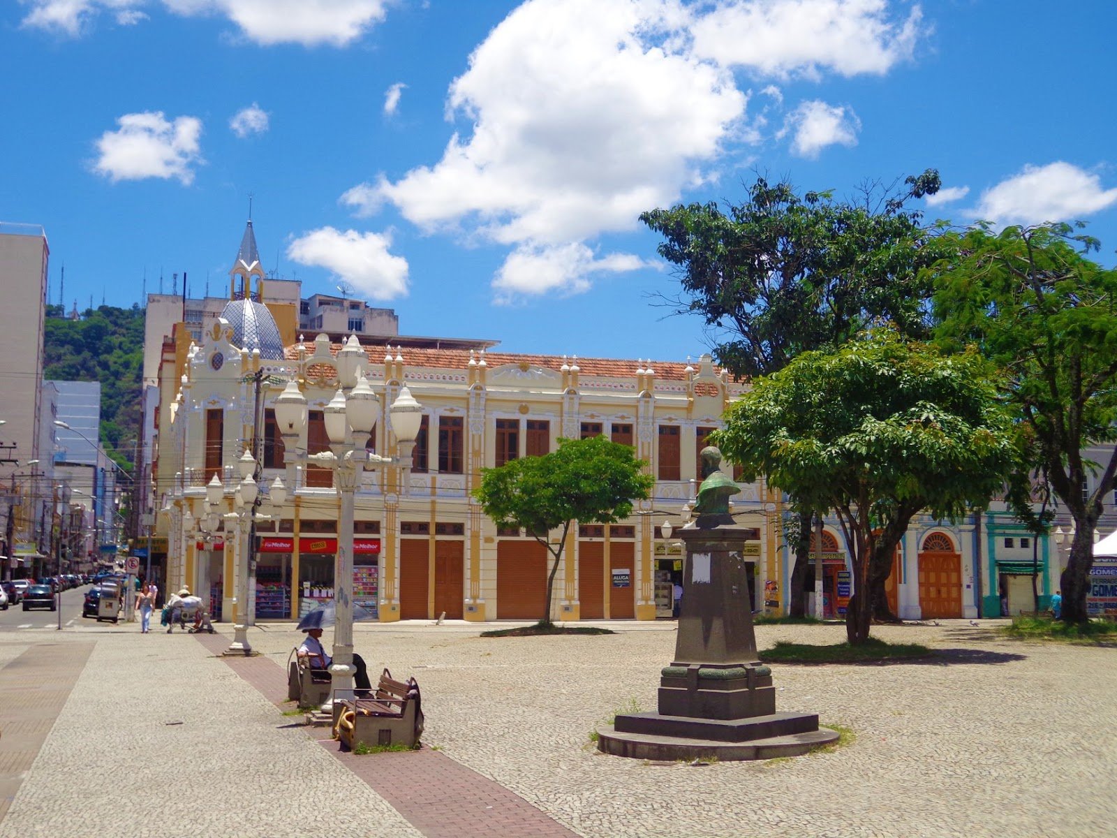 Centro de Miradouro MG, Zona da Mata