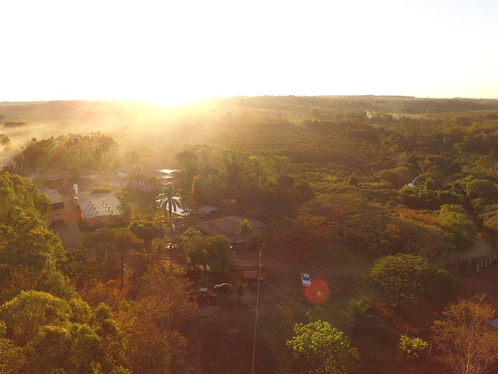 Paisagem agrícola ao entardecer na região de Jaboticabal