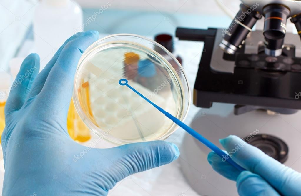 Ambiente de laboratório de microbiologia com placas de Petri e microscópio