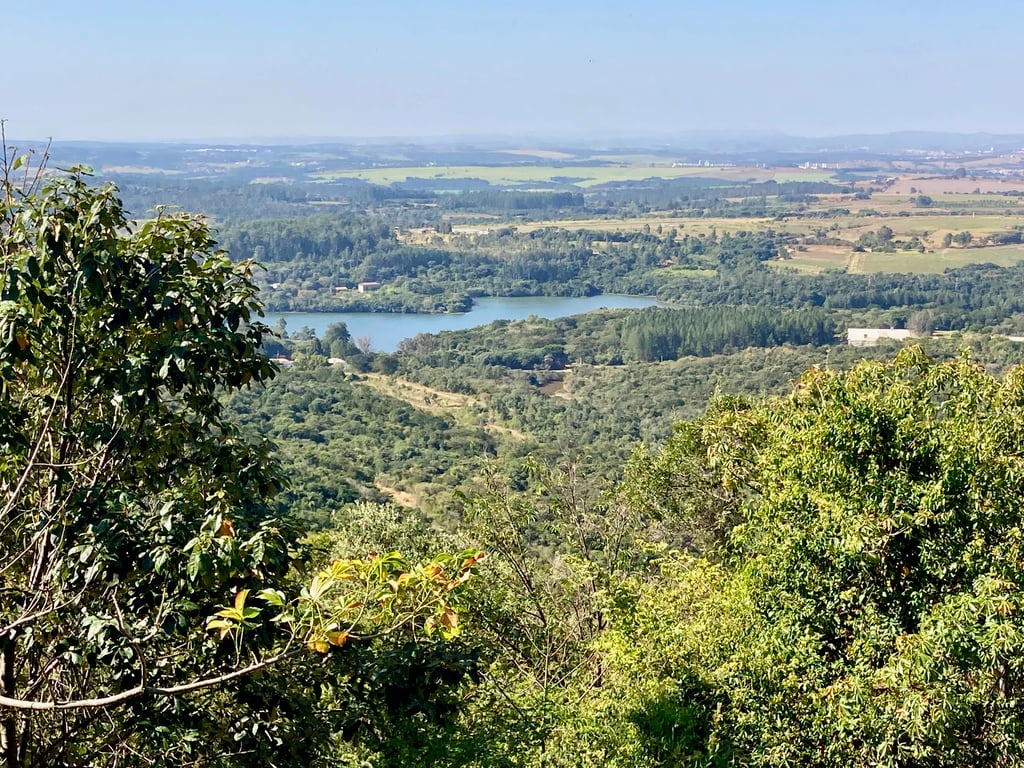 Floresta Nacional de Ipanema, em Iperó SP, com vegetação e corpo d’água ao fundo.