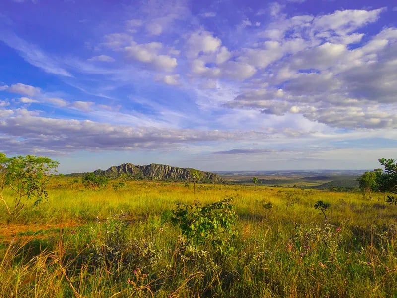 Paisagem do Cerrado, típica do nordeste de Goiás