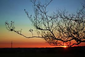 Paisagem do interior paulista ao entardecer
