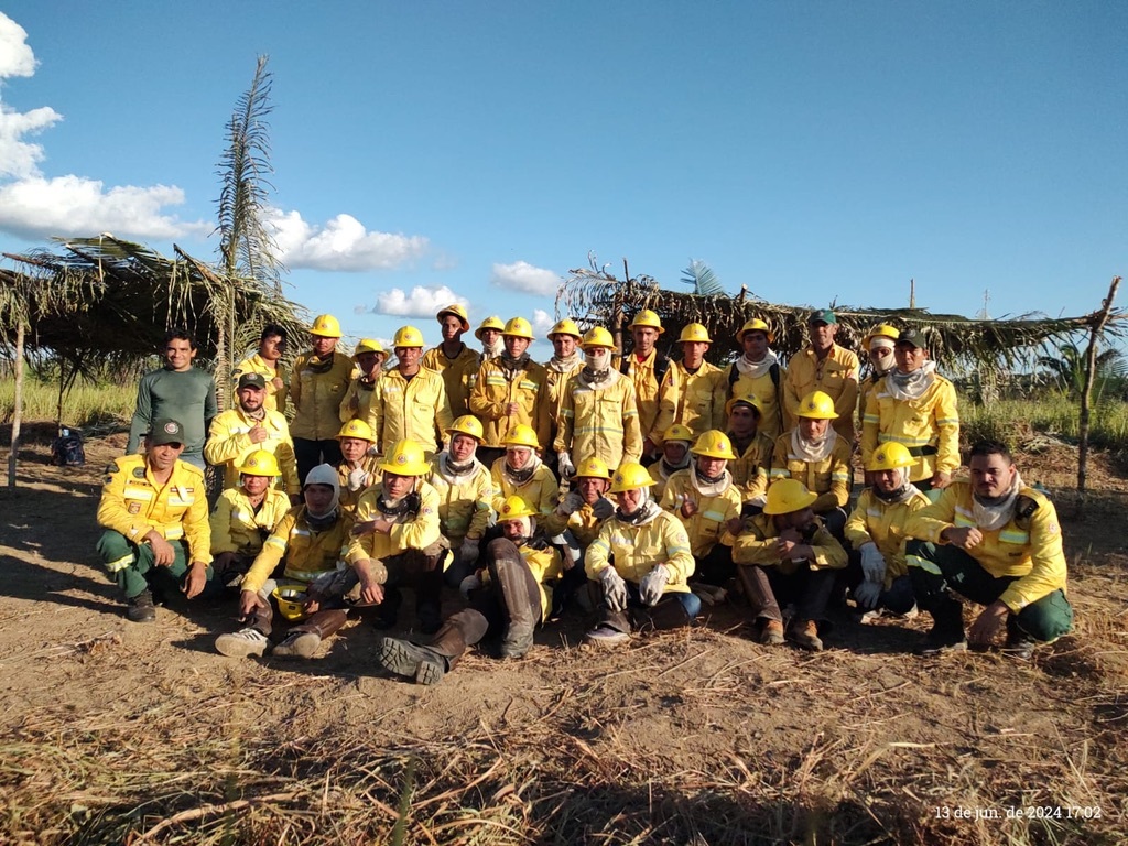 Brigadistas do ICMBio com equipamentos de proteção em área florestal