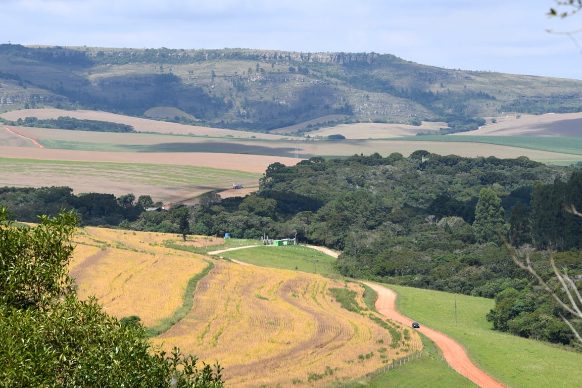 Paisagem rural no Vale do Ivinhema MS
