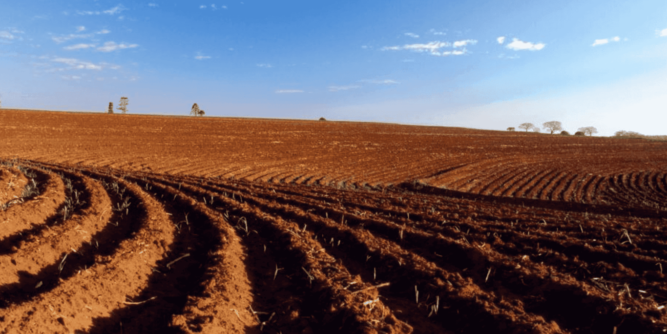 Paisagem de estrada rural e lavouras na Campanha Gaúcha, região de Pedras Altas