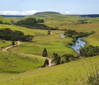 Paisagem dos Campos de Cima da Serra, em Muitos Capões RS, com campos, araucárias e estrada de terra.