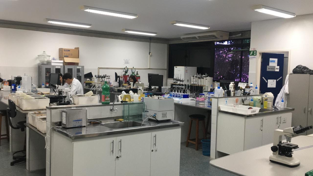 Laboratório universitário com bancadas, vidrarias e estudantes em atividade