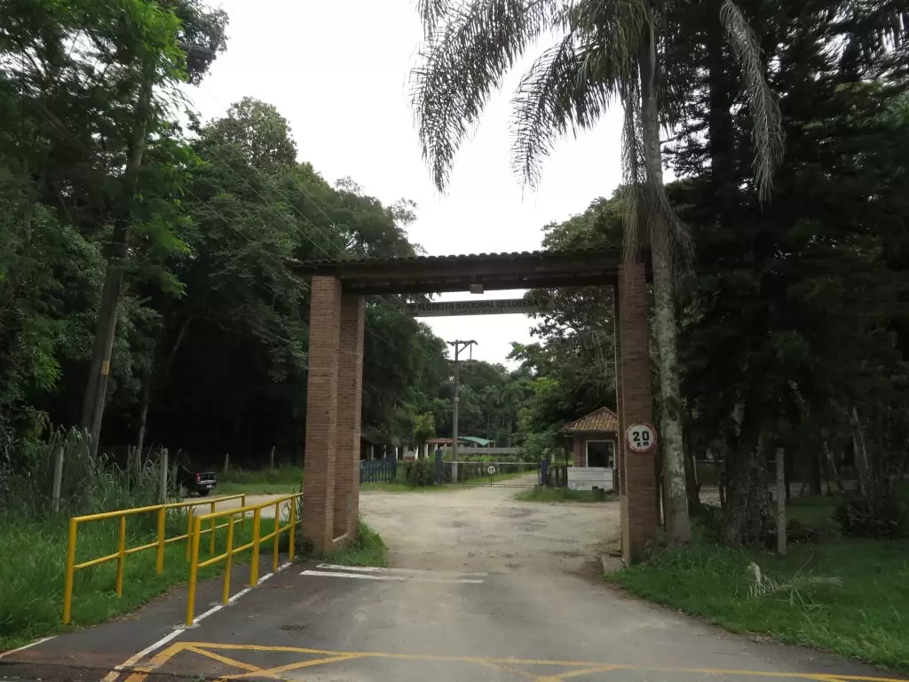 Paisagem do Vale do Paraíba paulista, com estrada cercada por vegetação e portal rústico