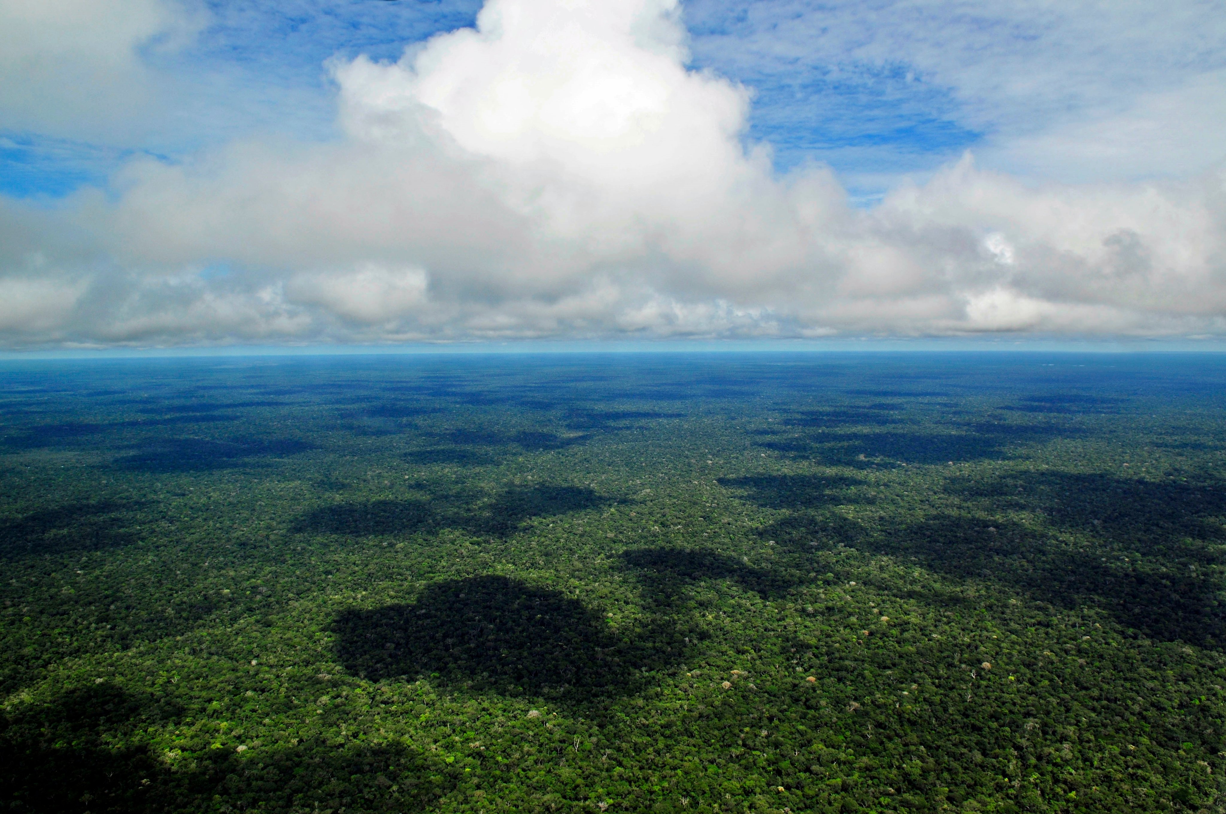 Vista aérea do rio Purus cercado por floresta amazônica em um dia nublado