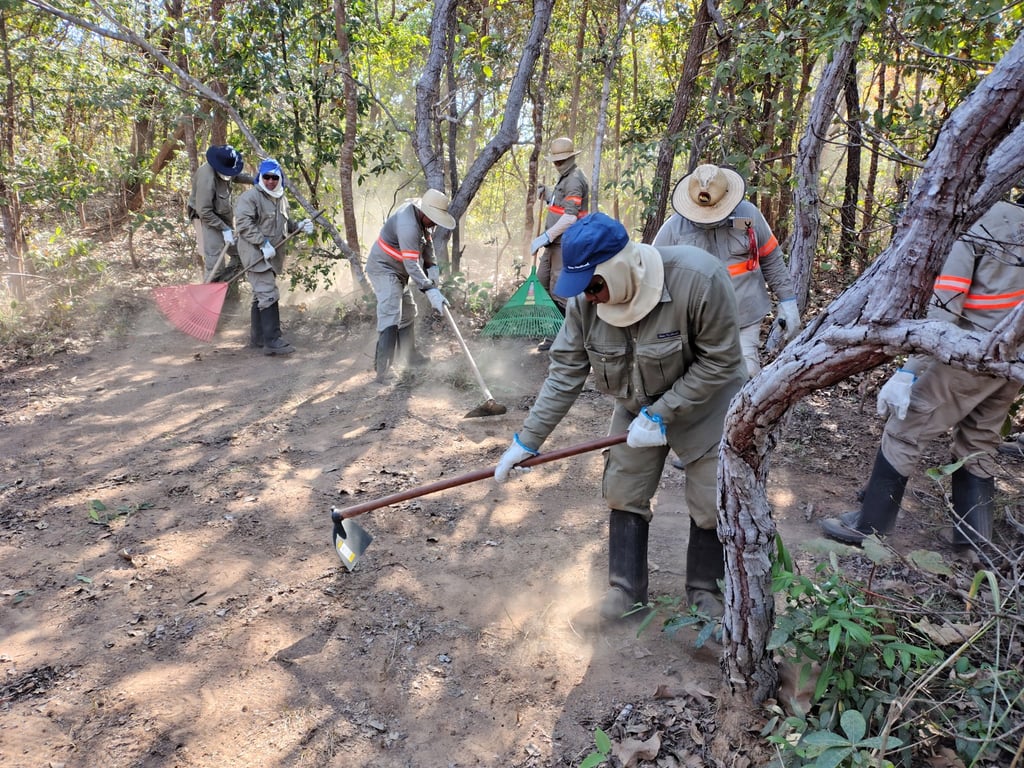 Brigadistas realizando ação de prevenção no Cerrado, com ferramentas manuais
