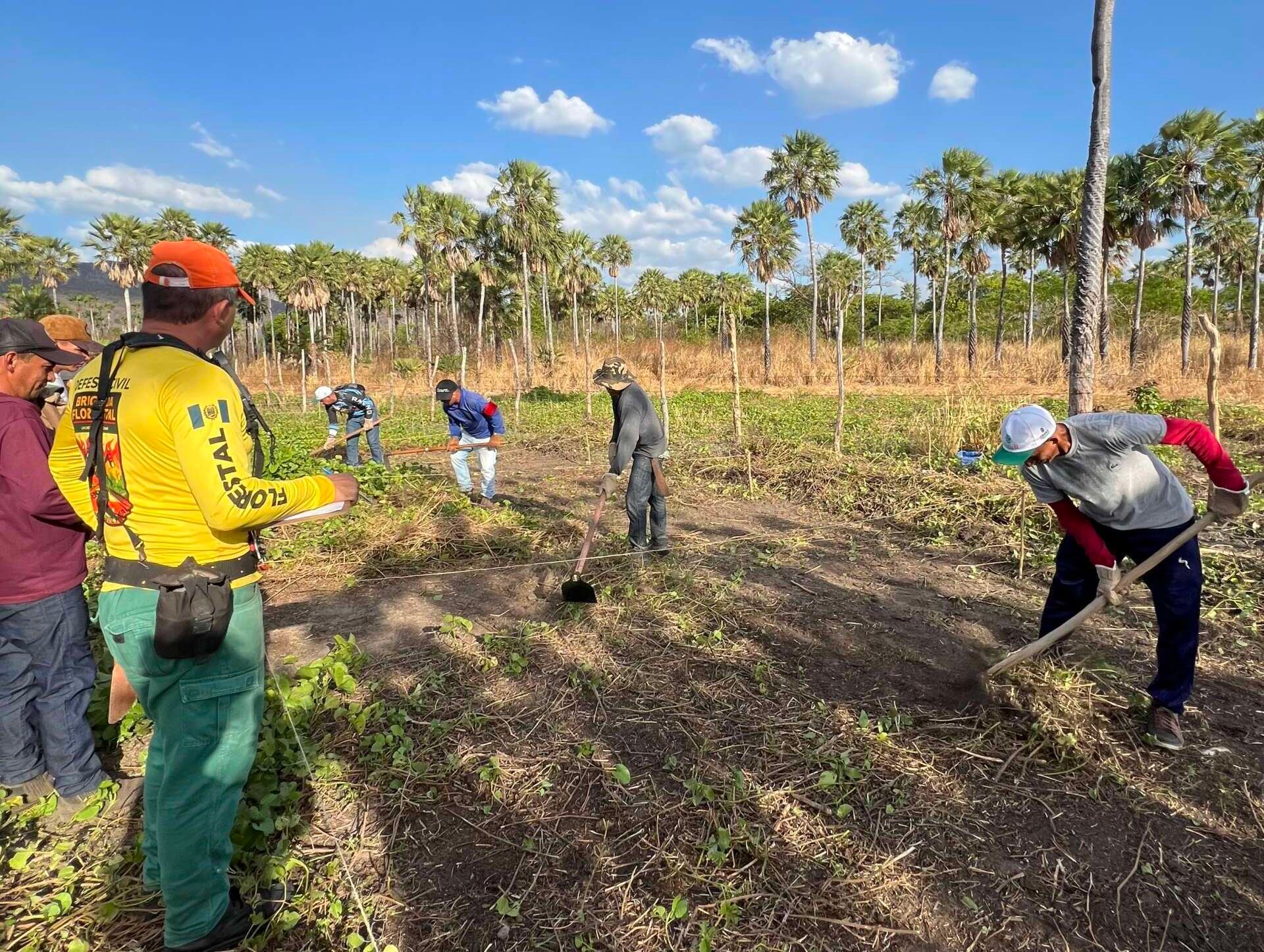 Brigadistas florestais usando ferramentas manuais e bomba costal em área de mata