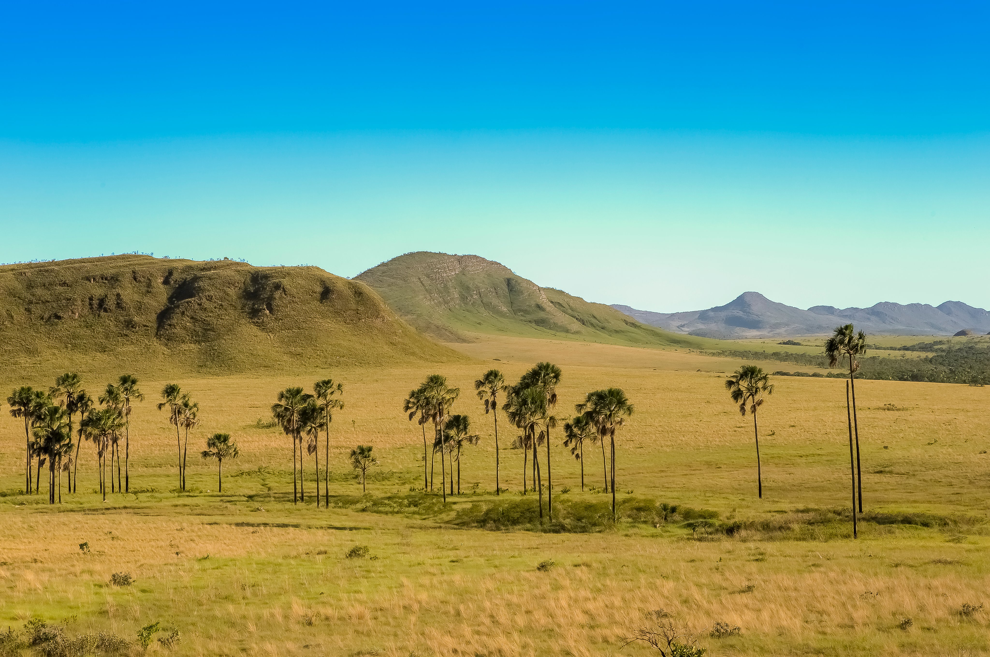 Paisagem do Cerrado na região do Araguaia, em Mato Grosso