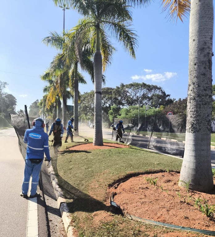 Vista urbana do interior paulista, com trabalhadores uniformizados e palmeiras ao fundo