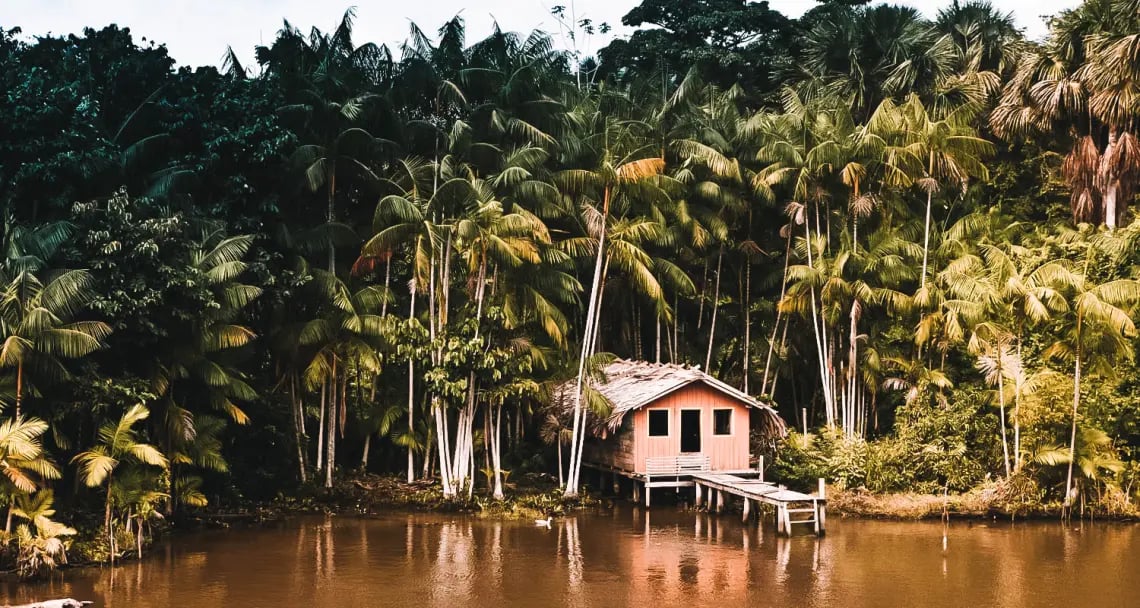 Vista ribeirinha amazônica com palmeiras e palafitas ao entardecer