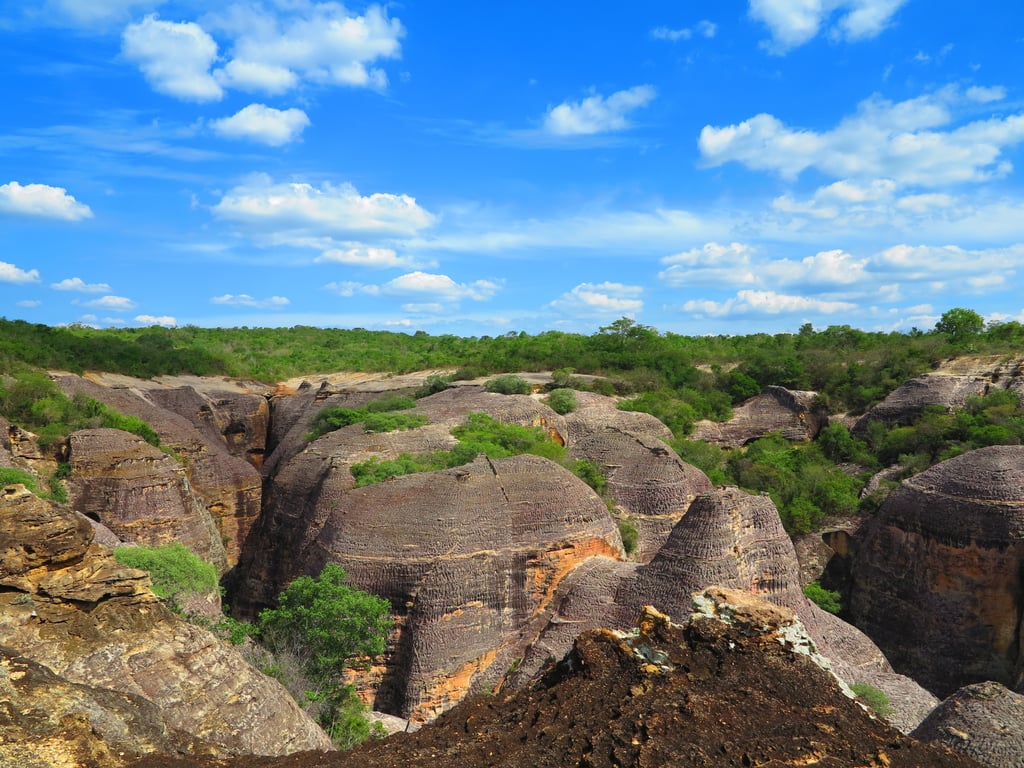 Paisagem do semiárido piauiense, estrada e vegetação de caatinga sob céu azul