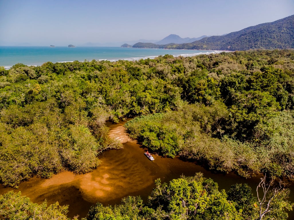 Trilha sinalizada em vegetação de restinga com vista para o mar