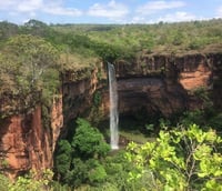 Paisagem natural de Mato Grosso, mostrando diversidade regional dos campi do IFMT