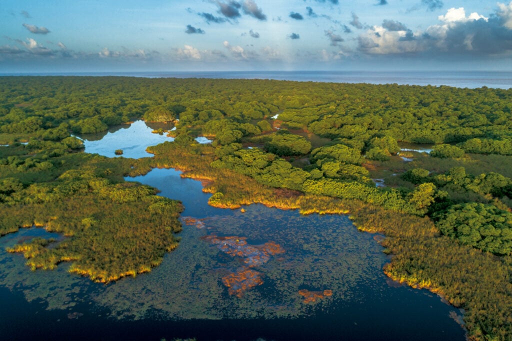 Vista aérea de manguezais e lagoas na costa do Amapá