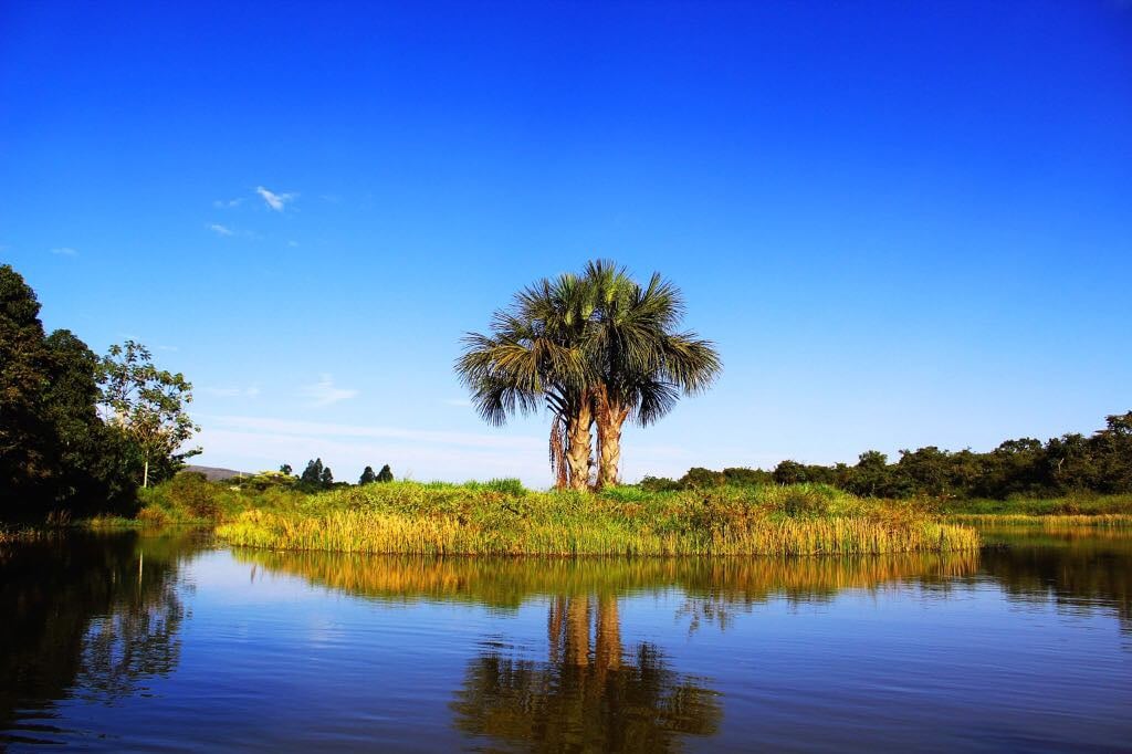 Paisagem do Cerrado no Noroeste de Minas