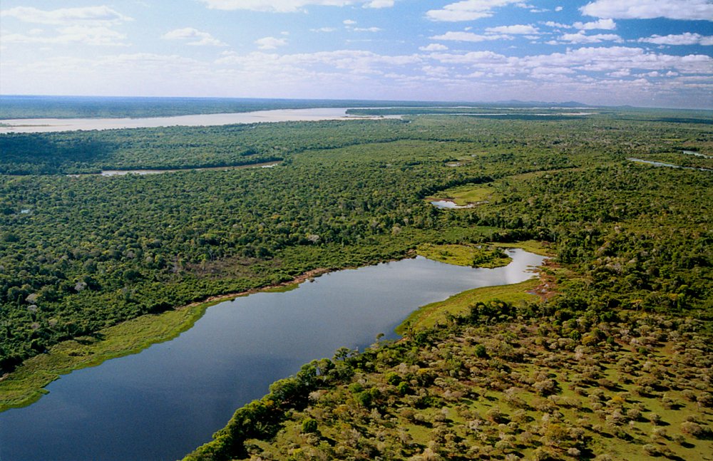 Rio Araguaia e vegetação da Ilha do Bananal