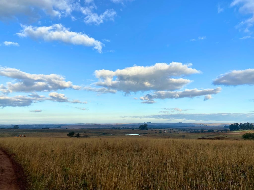 Paisagem rural com colinas verdes no Vale do Taquari, céu claro e campos abertos