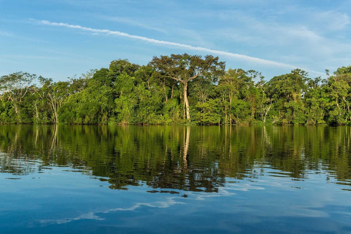 Rio amazônico com margens florestadas, luz da manhã